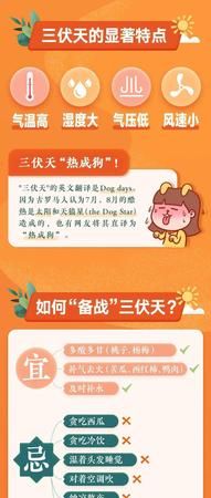 伏天多少天