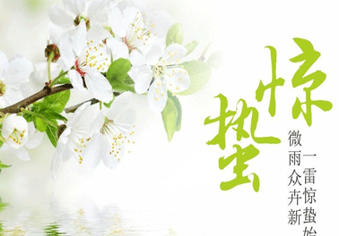 赞美惊蛰的优美句子