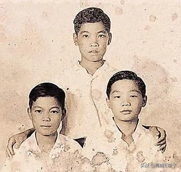 成奎安得什么病死的（成奎安一生坎坷）(7)