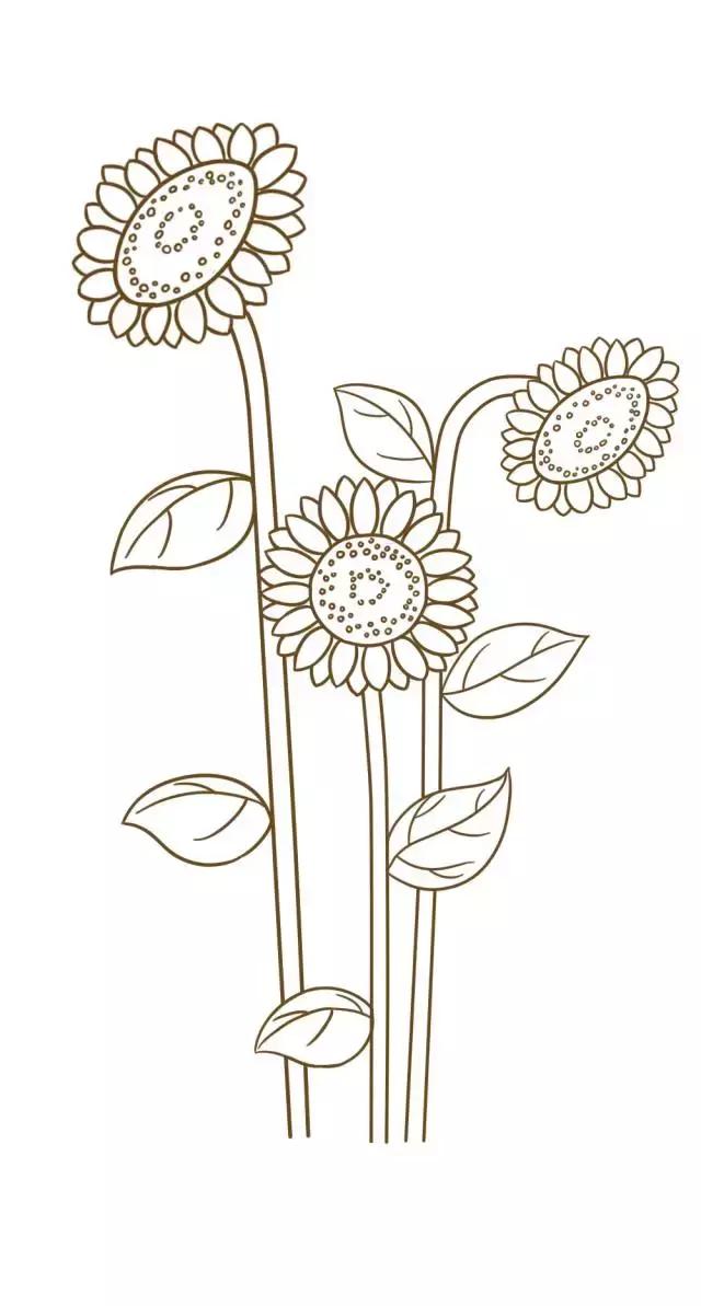 向日葵简笔画简单又好看超火（5种向日葵简笔画）(11)