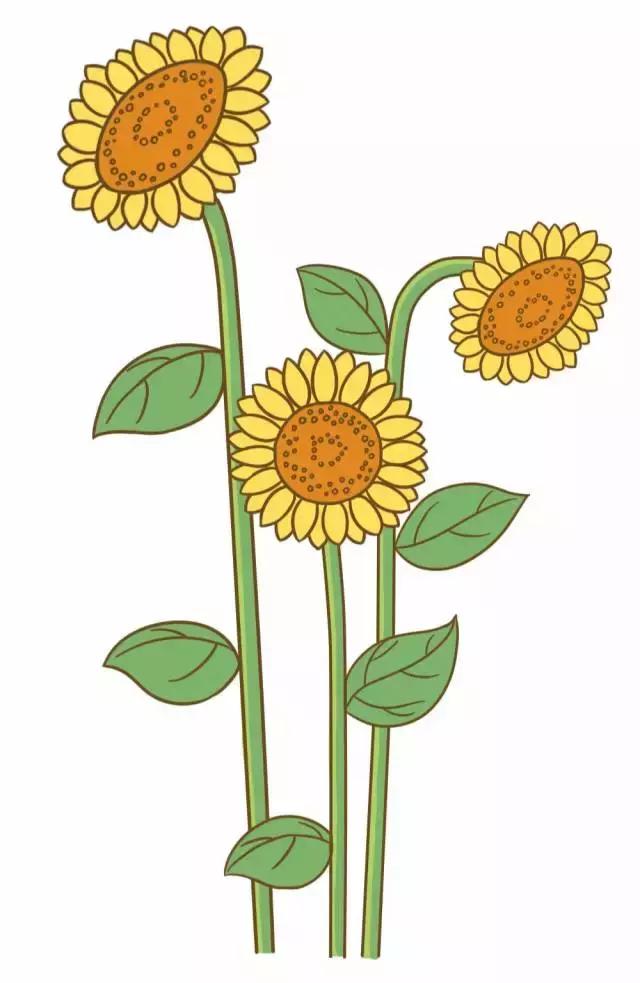 向日葵简笔画简单又好看超火（5种向日葵简笔画）(1)