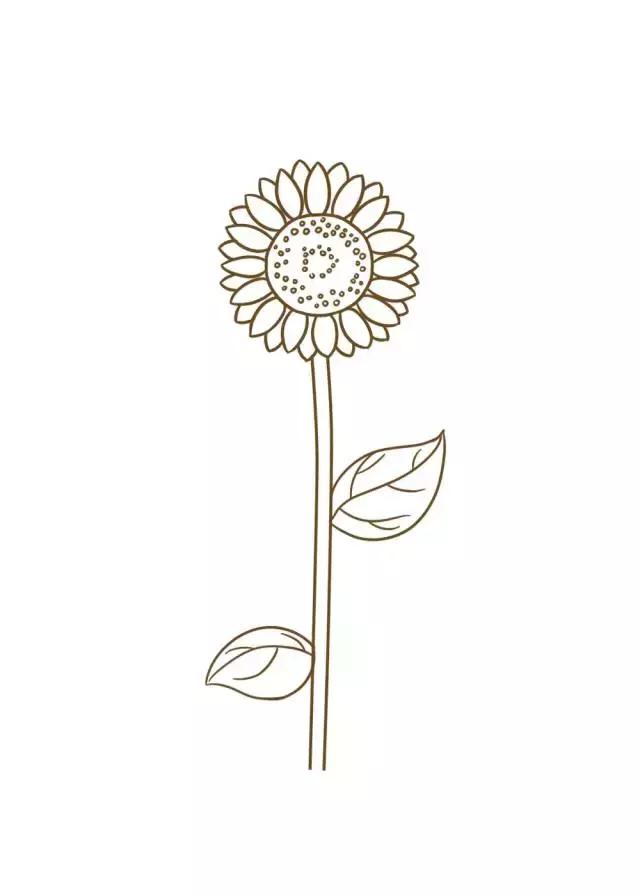 向日葵简笔画简单又好看超火（5种向日葵简笔画）(6)
