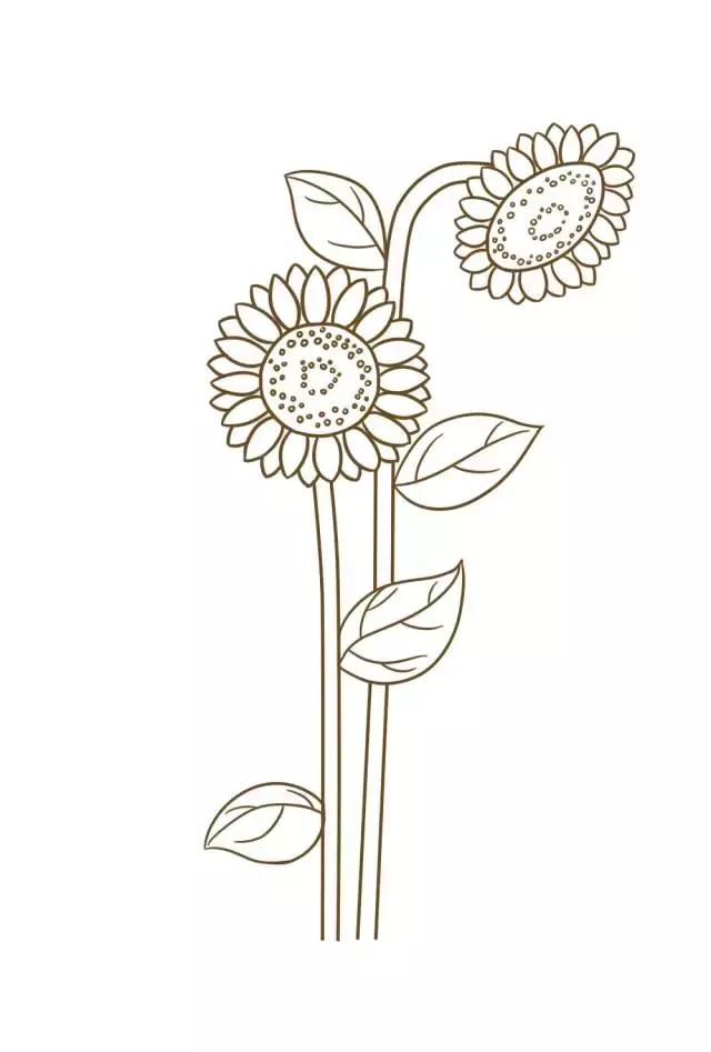 向日葵简笔画简单又好看超火（5种向日葵简笔画）(10)