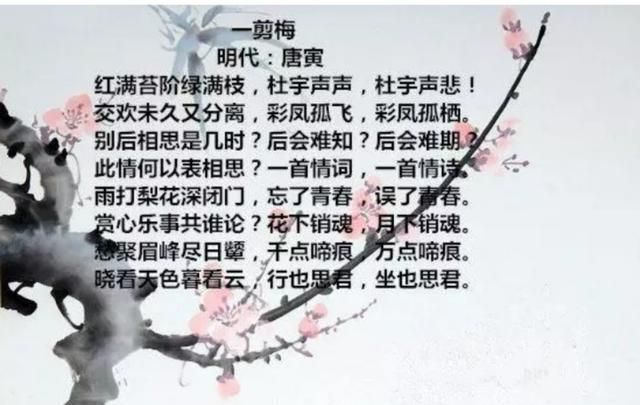 言不老镜中人打两个汉字，来聊聊，哪些明星让你傻傻分不清？图2