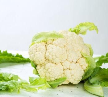 蔬菜的定义是什么
