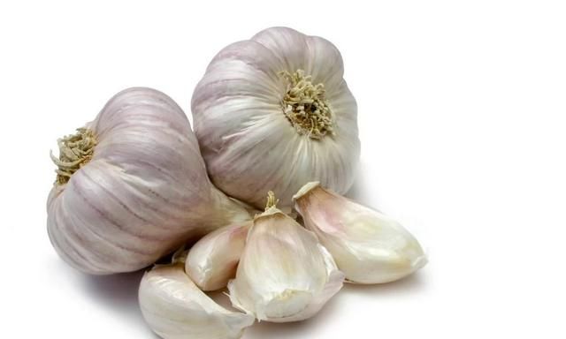 有机菜是什么菜，蔬菜的定义是什么？图3