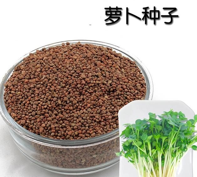 有机菜是什么菜，蔬菜的定义是什么？图6