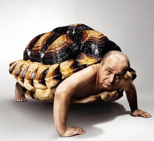 乌龟看绿豆对上眼了什么意思