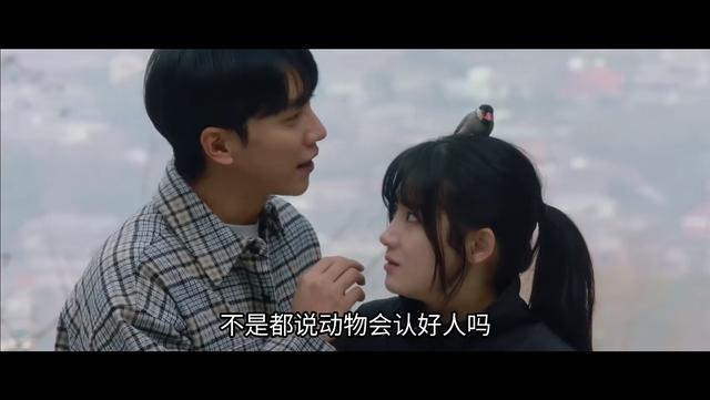 窥探mouse凶手是谁（凶手竟是我自己）(9)