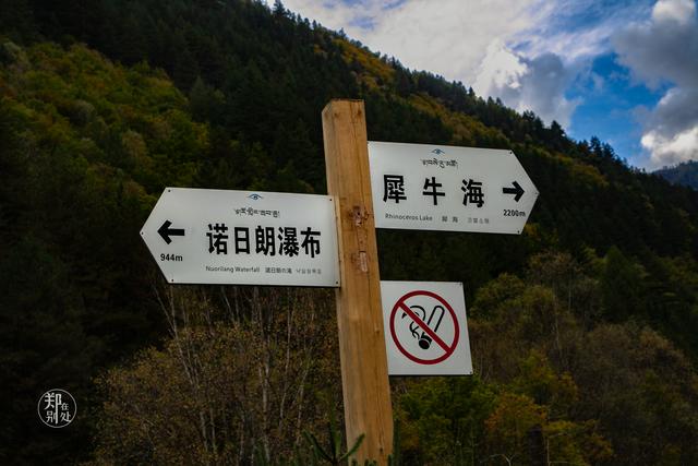 九寨沟自由行四日游攻略图解（抱憾九寨沟去过以后）(51)