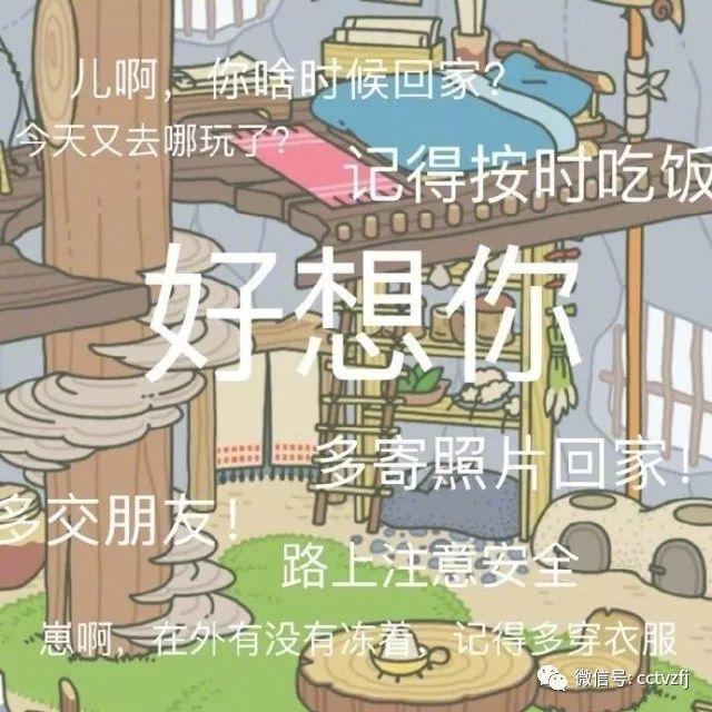 新手养蛙的方法 养蛙指南(4)