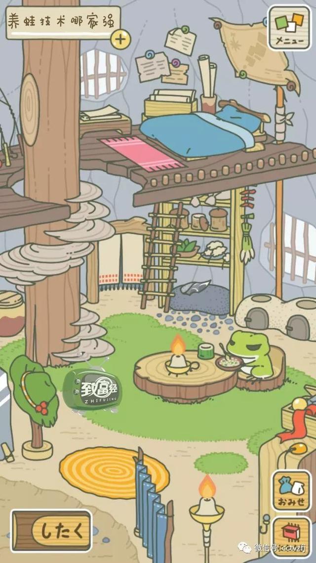 新手养蛙的方法 养蛙指南(13)