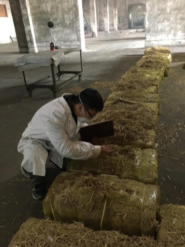 最好的神户牛肉（昂贵的日本神户牛肉）(17)