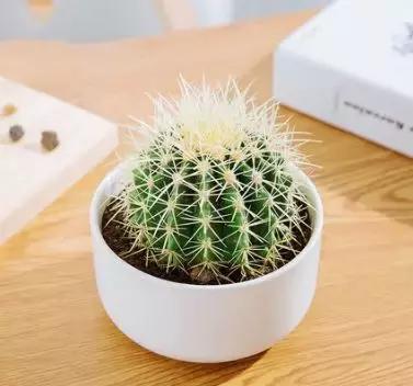 如何快速治理室内空气污染(装修后家里的空气污染指数爆表)(16)