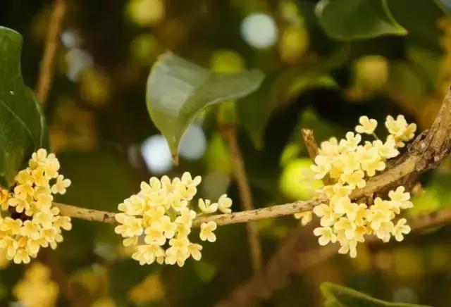 如何快速治理室内空气污染(装修后家里的空气污染指数爆表)(19)