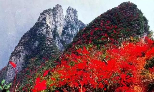 三峡壮美诗句(当代诗人咏三峡)(13)