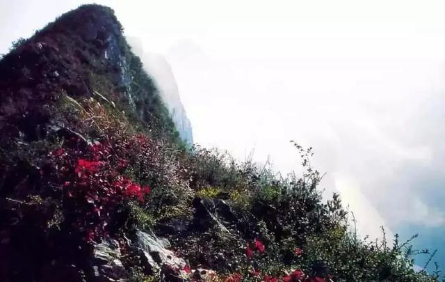 三峡壮美诗句(当代诗人咏三峡)(9)