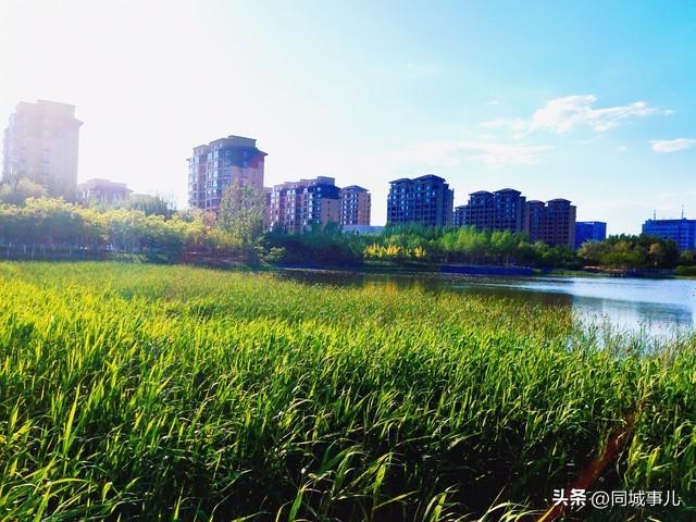 盘锦房价哪个小区最便宜（辽宁盘锦贬值较快的20个小区名单公布了）(4)