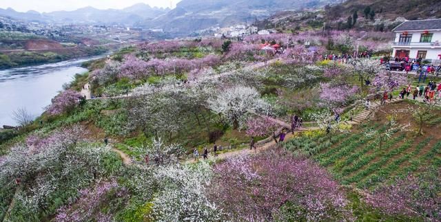 桃李满天下指的是谁，“桃李满天下”指的是哪个历史人物？图3