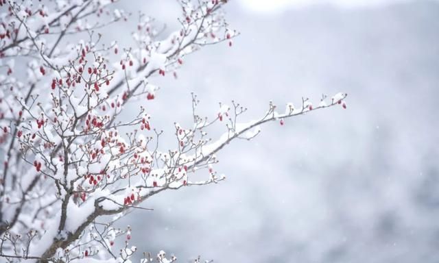 下雪了怎么发朋友圈我的城市下雪了