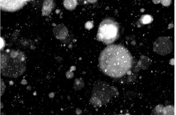 虎年下大雪怎么发朋友圈