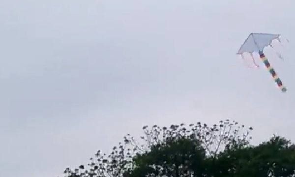 风筝怎么放飞起来,怎样才能让风筝飞起来?图7