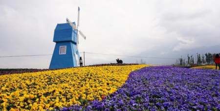 五华楼在哪个城市,大理导游词讲解图7