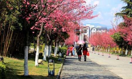 五华楼在哪个城市,大理导游词讲解图10