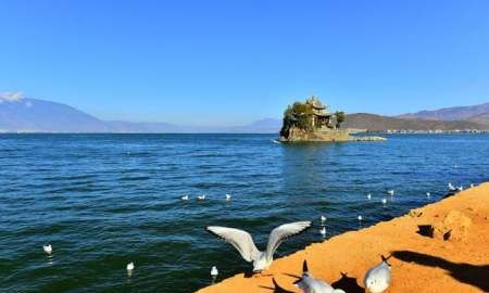 五华楼在哪个城市,大理导游词讲解图14