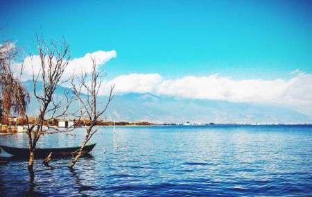 五华楼在哪个城市,大理导游词讲解图6