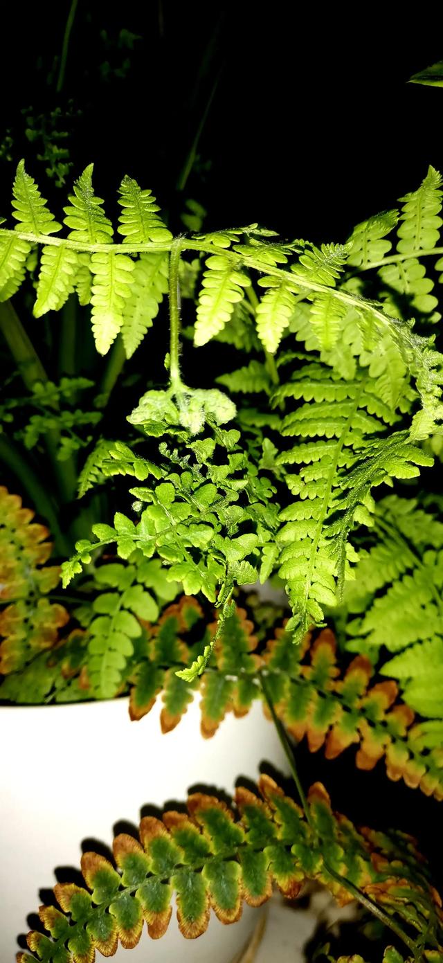 搞笑幽默笑话段子大全（幽默笑话搞笑段子100篇）(1)