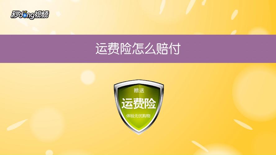 运费险赔付项目（运费险投保金额需看清）