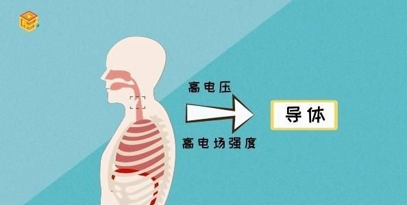 冬天穿衣服有静电怎样消除，冬天衣服静电怎么消除？图4