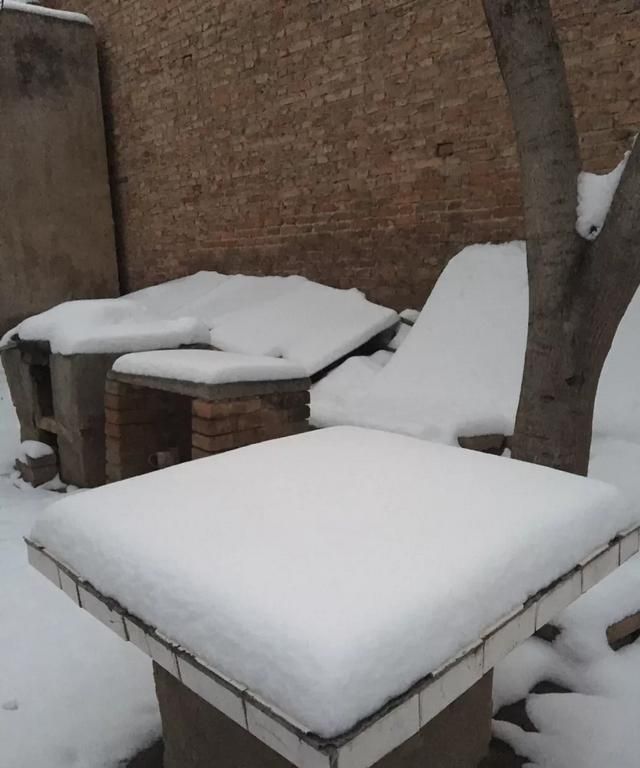 你喝花茶吗?喝什么种类的花茶呢图5