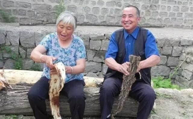 树葡萄的皮可以吃吗，谁能告诉我，哪种树的树皮可以吃？哪种的草根可以吃？图2