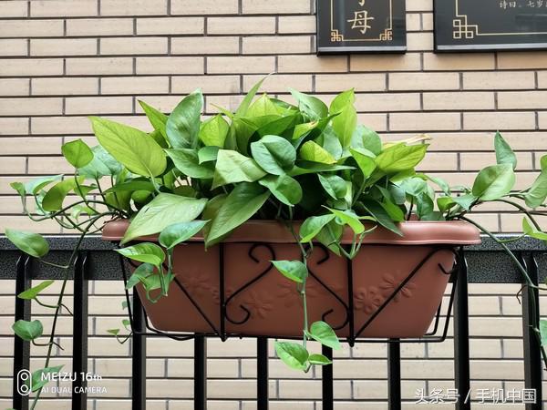 魅族16th详细参数（魅族16th评测魅友必买的黄章式旗舰）(21)