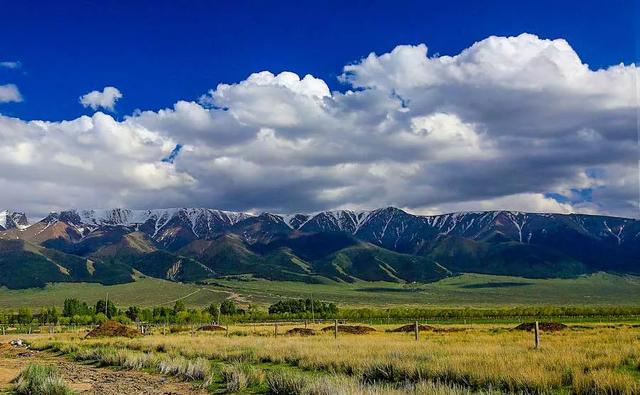 京新高速全程线路图经过哪些地方(超66号公路的京新高速)(39)