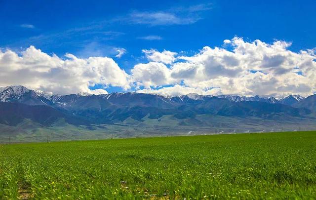 京新高速全程线路图经过哪些地方(超66号公路的京新高速)(38)