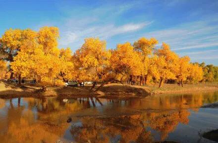 京新高速全程线路图经过哪些地方(超66号公路的京新高速)(60)