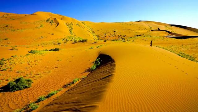 京新高速全程线路图经过哪些地方(超66号公路的京新高速)(22)