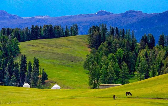 京新高速全程线路图经过哪些地方(超66号公路的京新高速)(42)