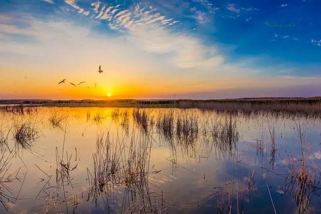 京新高速全程线路图经过哪些地方(超66号公路的京新高速)(63)