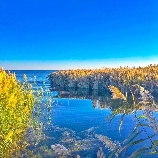 京新高速全程线路图经过哪些地方(超66号公路的京新高速)(61)