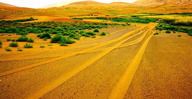 京新高速全程线路图经过哪些地方(超66号公路的京新高速)(25)