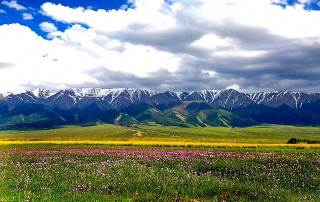 京新高速全程线路图经过哪些地方(超66号公路的京新高速)(41)