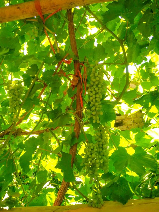 京新高速全程线路图经过哪些地方(超66号公路的京新高速)(67)