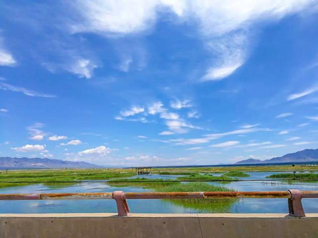 京新高速全程线路图经过哪些地方(超66号公路的京新高速)(59)