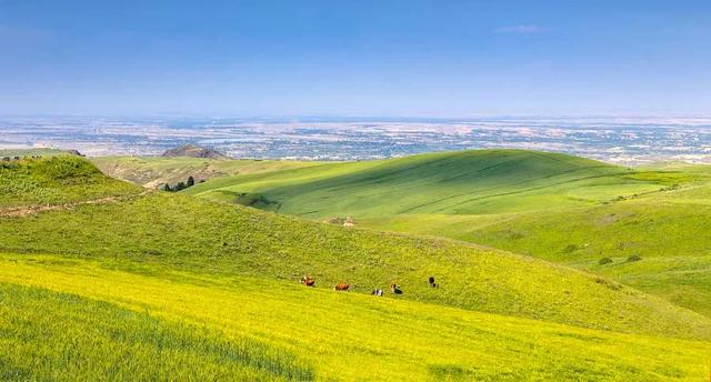 京新高速全程线路图经过哪些地方(超66号公路的京新高速)(50)