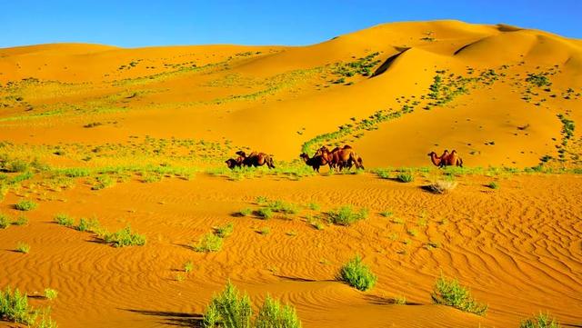 京新高速全程线路图经过哪些地方(超66号公路的京新高速)(23)