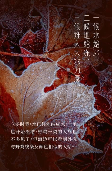 立冬节气是几月几日，2021冬天几月开始到几月结束？图5